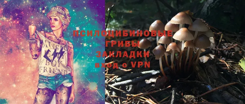 Галлюциногенные грибы Magic Shrooms  гидра зеркало  Ладушкин 