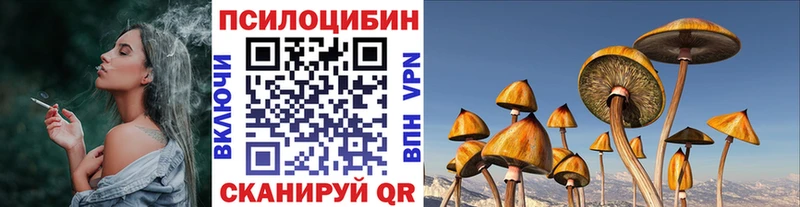 купить  сайты  Ладушкин  Псилоцибиновые грибы Cubensis 